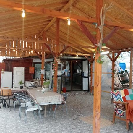 Vila Mara Sărata-Monteoru Dış mekan fotoğraf
