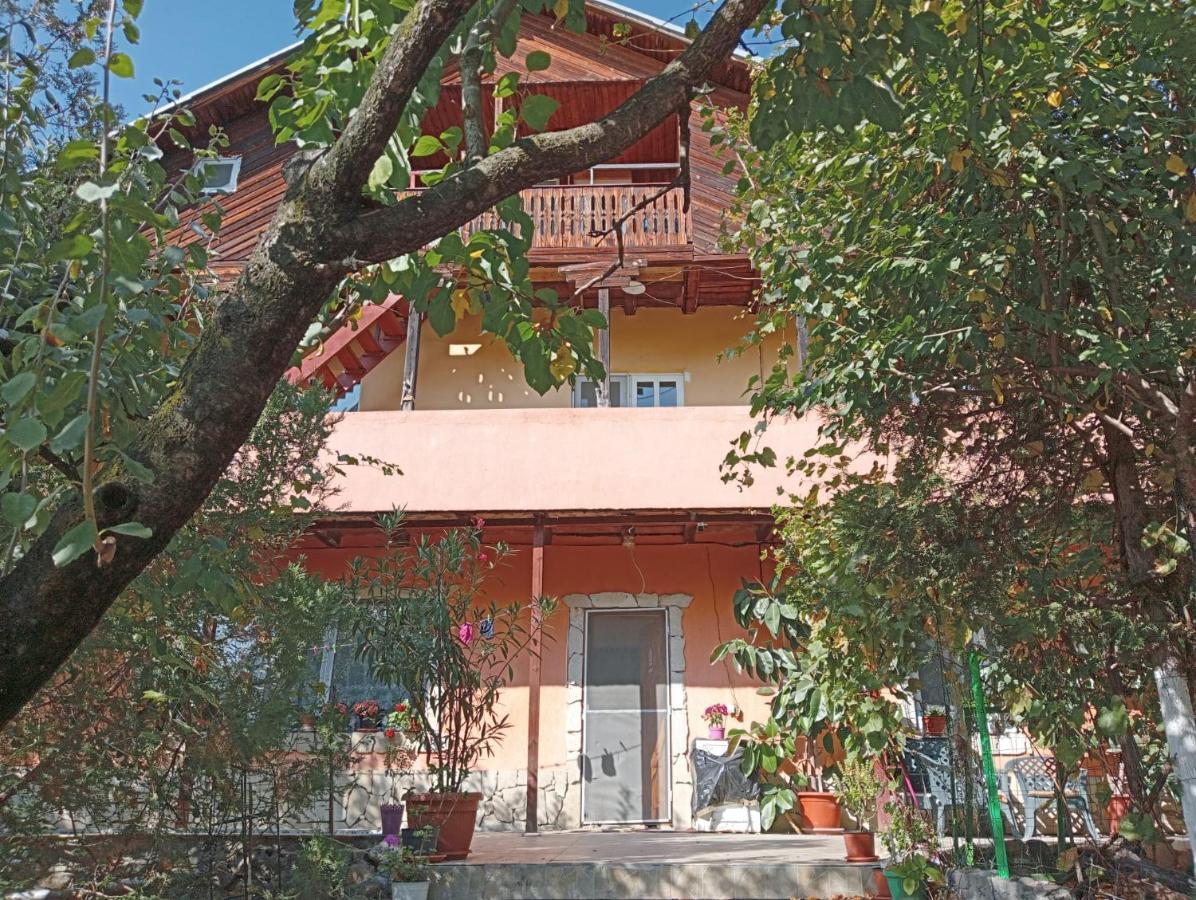 Vila Mara Sărata-Monteoru Dış mekan fotoğraf