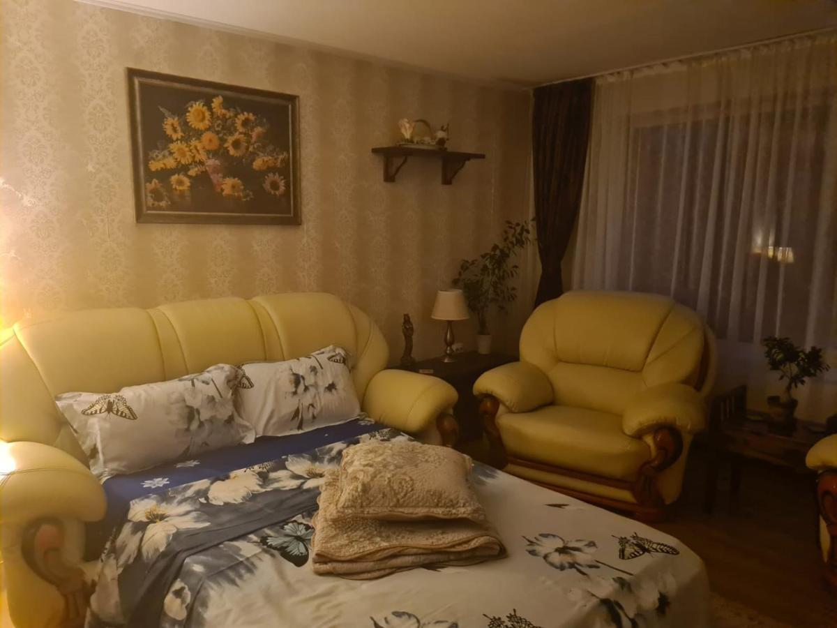 Vila Mara Sărata-Monteoru Dış mekan fotoğraf