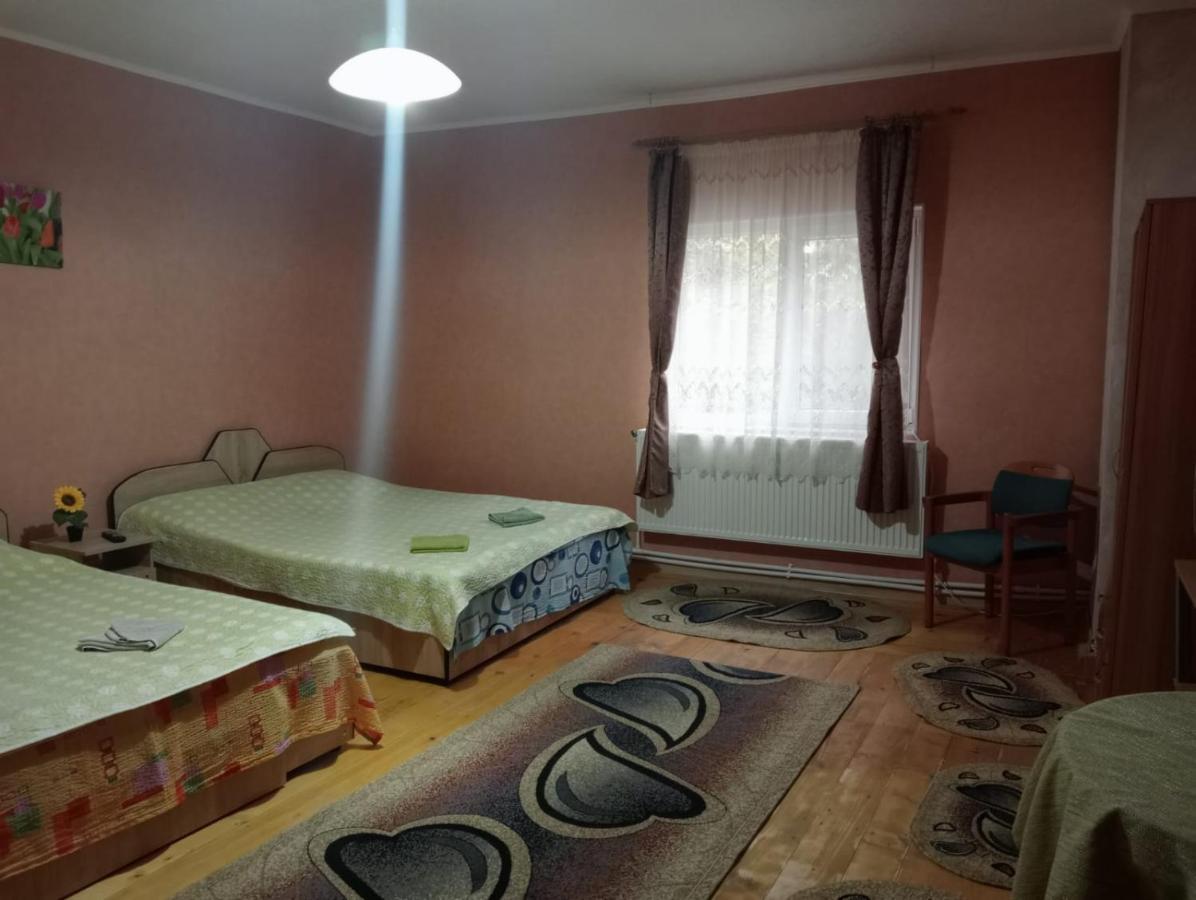 Vila Mara Sărata-Monteoru Dış mekan fotoğraf